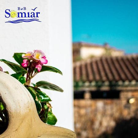 B&B Somiar Сан-Теодоро Экстерьер фото