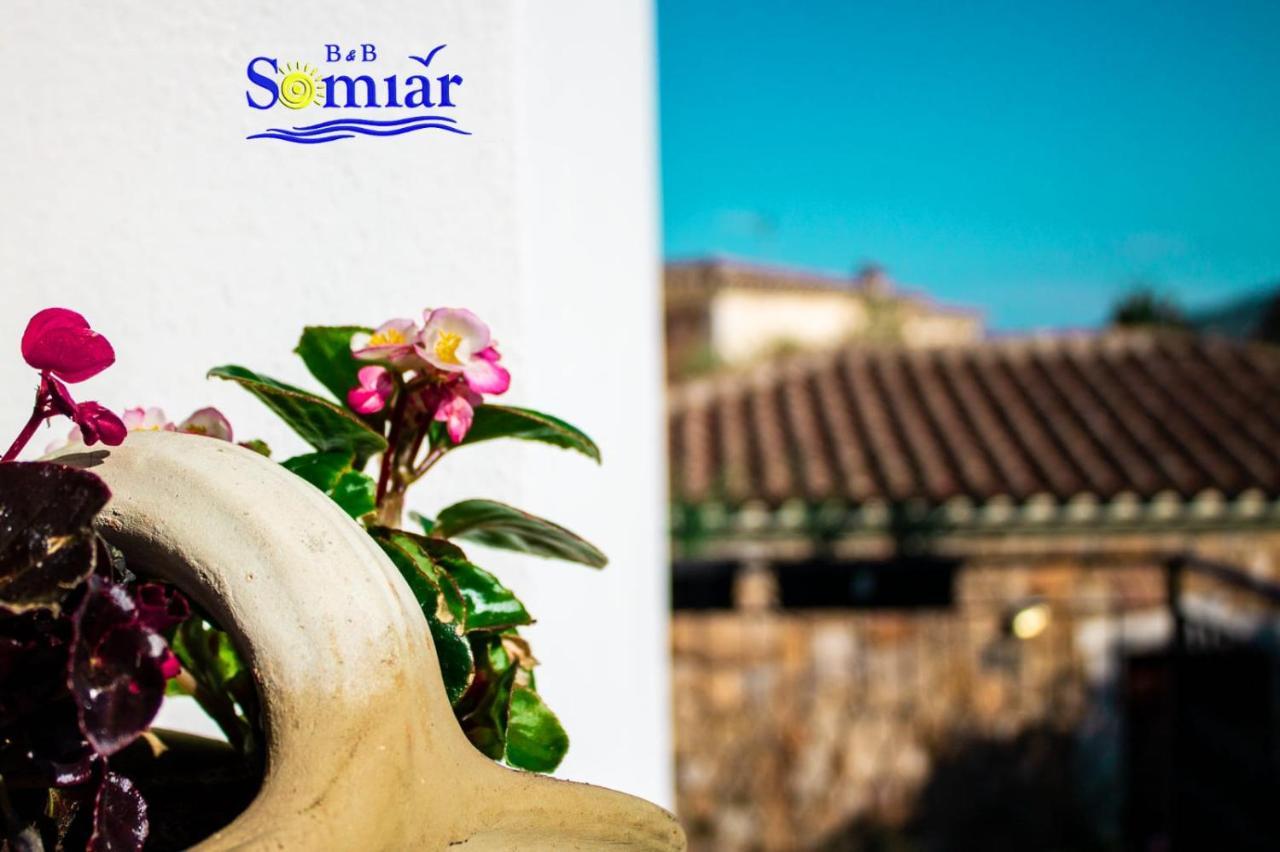 B&B Somiar Сан-Теодоро Экстерьер фото