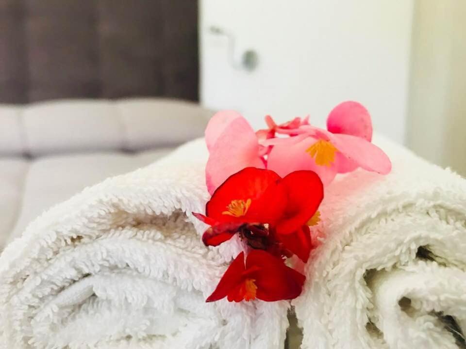 B&B Somiar Сан-Теодоро Экстерьер фото